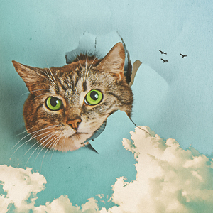 无码国产精品久久久久
