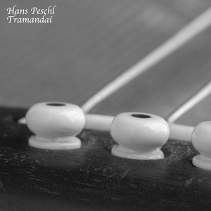 无码国产精品久久久久
